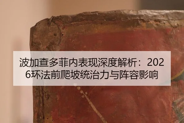 bo-jia-cha-duo-fei-nei-biao-xian-shen-du-jie-xi-huan-fa-qian-pa-po-tong-zhi-li-yu-zhen-rong-ying-xiang-2-871.jpg